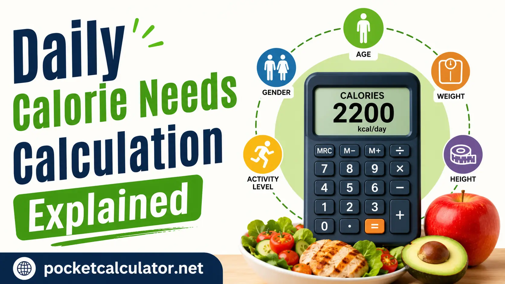 Daily Calorie Needs Calculation Explained